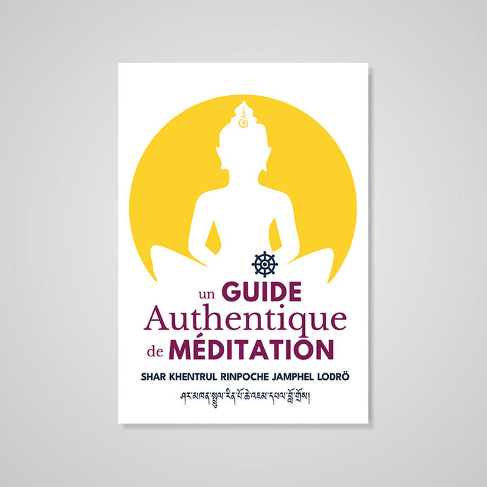 Un Guide Authentique de Méditation