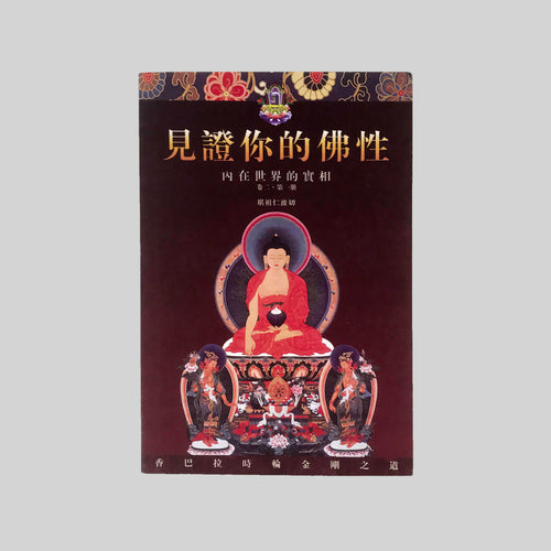 《見證你的佛性》卷二　內在世界的實相　第一册