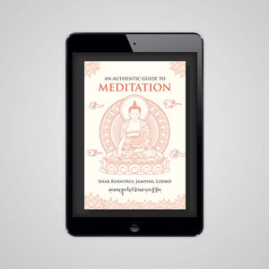 An Authentic Guide to Meditation